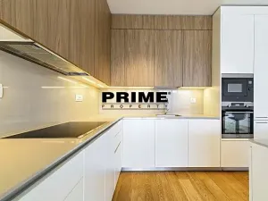 Pronájem bytu 4+kk, Praha - Smíchov, Holečkova, 174 m2