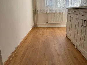 Pronájem bytu 3+1, České Budějovice - České Budějovice 3, Plzeňská, 63 m2