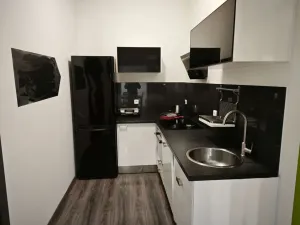 Pronájem bytu 2+1, Praha - Nusle, Doudlebská, 53 m2