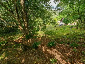 Prodej louky, Bedřichov, 5250 m2