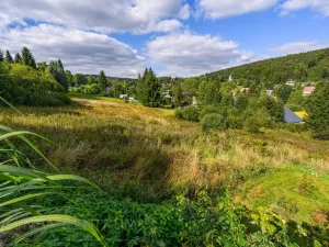 Prodej louky, Bedřichov, 5250 m2