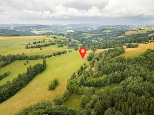 Prodej louky, Víchová nad Jizerou, 991 m2