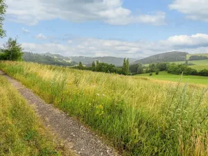 Prodej louky, Víchová nad Jizerou, 991 m2