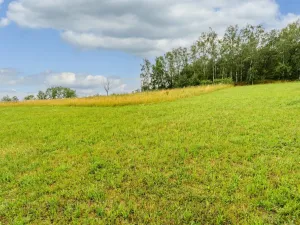 Prodej louky, Víchová nad Jizerou, 991 m2