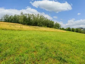 Prodej louky, Víchová nad Jizerou, 991 m2