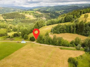 Prodej louky, Víchová nad Jizerou, 1739 m2