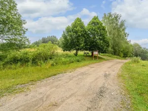 Prodej louky, Víchová nad Jizerou, 1739 m2