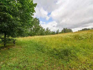 Prodej louky, Víchová nad Jizerou, 1739 m2