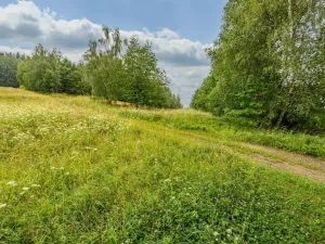 Prodej louky, Víchová nad Jizerou, 1739 m2
