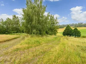 Prodej louky, Víchová nad Jizerou, 1739 m2
