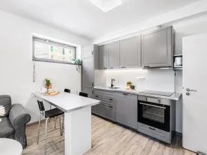 Prodej bytu 2+kk, Harrachov, 48 m2