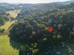 Prodej lesa, Nová Ves nad Nisou, 5031 m2