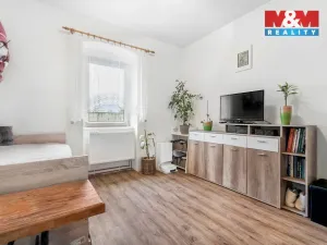 Prodej bytu 2+1, Mladá Boleslav - Mladá Boleslav IV, Ptácká, 49 m2