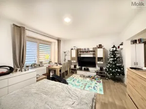 Pronájem bytu 3+kk, Dubí, Tovární, 84 m2