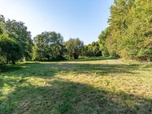 Prodej lesa, Šimonovice, 30343 m2