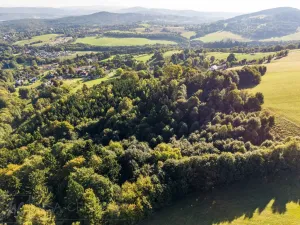 Prodej lesa, Šimonovice, 30343 m2