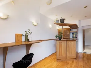 Prodej atypického bytu, Praha - Vinohrady, Vozová, 260 m2