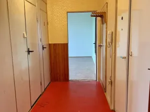 Prodej bytu 2+1, Plzeň, U Borského parku, 58 m2