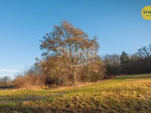 Prodej komerčního pozemku, Chrudim - Topol, 2696 m2