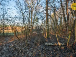 Prodej komerčního pozemku, Chrudim - Topol, 2696 m2