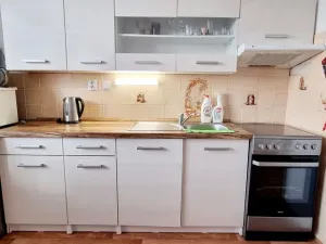 Pronájem bytu 1+1, Opava, 17. listopadu, 38 m2