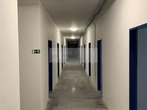 Pronájem skladu, Dobříč, 14 m2