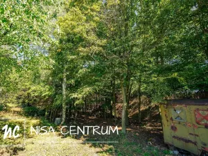 Prodej lesa, Obruby, 3075 m2