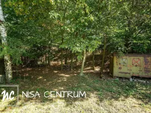 Prodej lesa, Obruby, 3075 m2