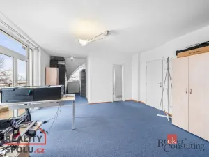 Pronájem rodinného domu, Průhonice, U Křížku, 447 m2