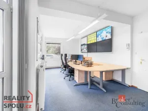 Pronájem rodinného domu, Průhonice, U Křížku, 447 m2