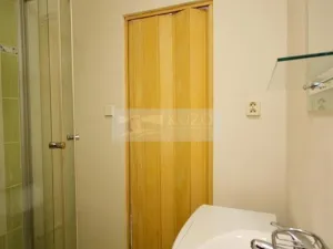 Pronájem bytu 1+kk, Chomutov, Seifertova, 22 m2