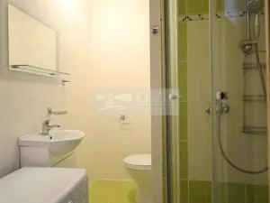 Pronájem bytu 1+kk, Chomutov, Seifertova, 22 m2