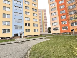 Prodej bytu 2+1, Olomouc, Na Letné, 43 m2