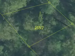 Prodej lesa, Karviná, 488 m2