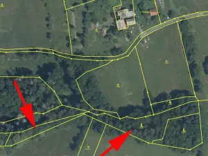 Prodej podílu lesa, Malá Bystřice, 1421 m2