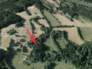 Prodej lesa, Trutnov, 28206 m2