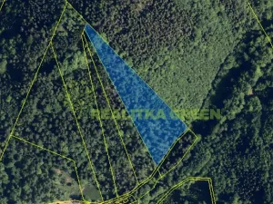 Prodej lesa, Nýdek, 16920 m2