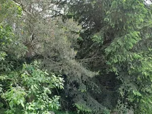 Prodej pozemku, Nejdek, 104 m2