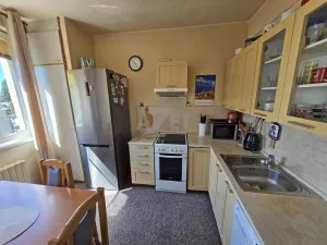 Prodej bytu 2+1, Ostrava - Moravská Ostrava, Hornická, 44 m2