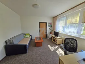 Prodej bytu 2+1, Ostrava - Moravská Ostrava, Hornická, 44 m2