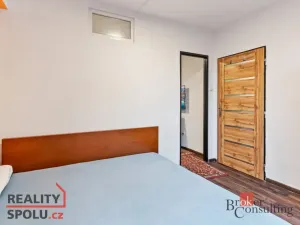 Prodej bytu 2+1, Mladá Boleslav - Mladá Boleslav II, Palackého, 46 m2