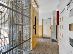 Prodej bytu 2+1, Plzeň, Elišky Krásnohorské, 60 m2