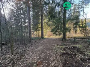 Prodej lesa, Vsetín, Semetín, 96946 m2