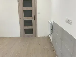 Pronájem komerční nemovitosti, Hořátev, 22 m2