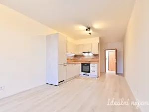 Pronájem bytu 1+kk, Brno, Dornych, 37 m2