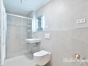 Pronájem bytu 1+kk, Brno, Dornych, 37 m2