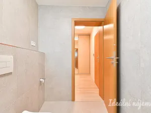 Pronájem bytu 1+kk, Brno, Dornych, 37 m2