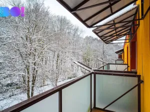 Pronájem bytu 2+kk, Třinec, Palackého, 53 m2