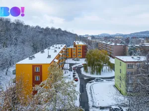 Pronájem bytu 2+kk, Třinec, Palackého, 53 m2