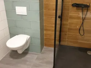 Pronájem bytu 1+1, Teplice, Jankovcova, 48 m2